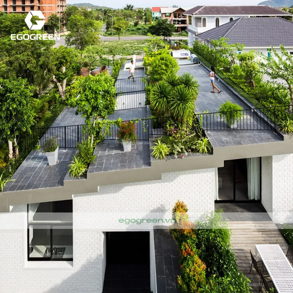 Giải pháp chống thấm tốt sẽ giúp mái nhà bền lâu và vườn luôn khô ráo.